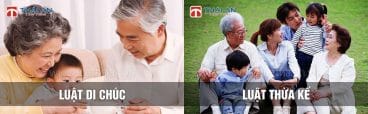 Tư vấn pháp luật toàn diện với chất lượng cao ! 7 tư vấn thừa kế