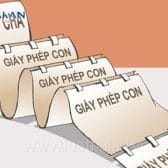 giấy phép hoạt động cho thuê lại lao động