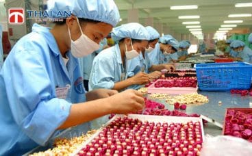 Phải ngừng việc có được hưởng lương không