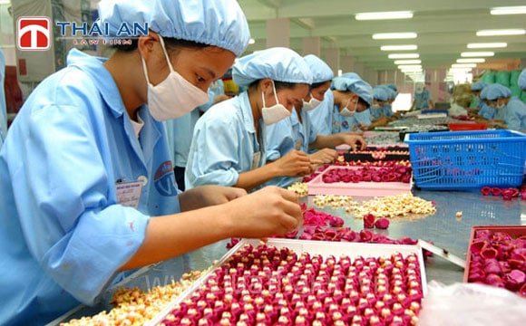 Tiền lương làm thêm giờ, làm việc ban đêm