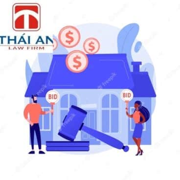 tư vấn luật đấu thầu