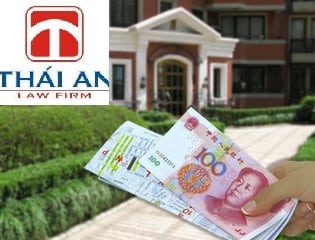 Công Ty Luật Thái An™