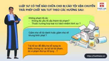 bào chữa tội vận chuyển ma tuý
