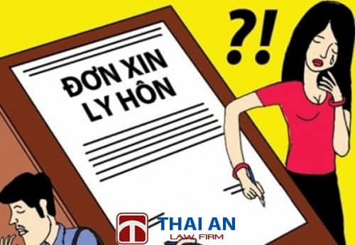 Mẹ bị tâm thần, con nộp đơn ly hôn thay mẹ được không?