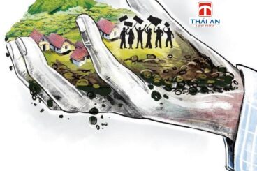 Các trường hợp thu hồi đất