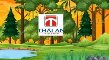 công ty lâm nghiệp nước ngoài