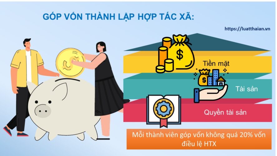 Các hình thức góp vốn hợp tác xã