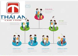 Quy định về cơ cấu hợp tác xã 3 cơ cấu tổ chức của hợp tác xã