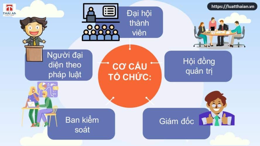 Hợp tác xã: Tổng hợp những quy định cần biết! 8 cơ cấu tổ chức của hợp tác xã