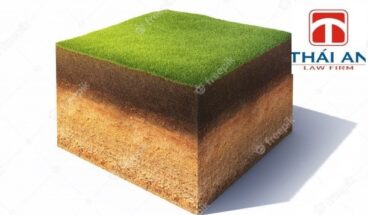 Người nước ngoài không được mua đất nông nghiệp tại Việt Nam 