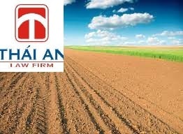 diện tích tối thiểu để tách thửa