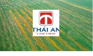 Đất giao không đúng thẩm quyền