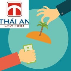 Xử phạt khi tự ý chuyển nhượng quyền sử dụng đất dưới hình thức phân lô bán nền 2 phân lô bán nền trái luật