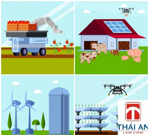 Xử lý tài sản không chia của hợp tác xã khi giải thể