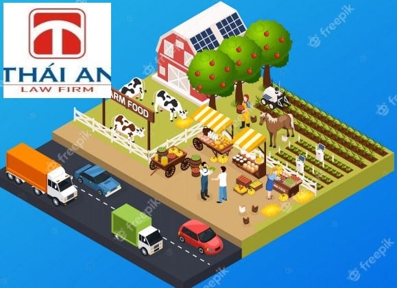 A – Z về thành lập công ty mua bán nông lâm sản | Luật Thái An™ 3 công ty mua bán nông lâm sản