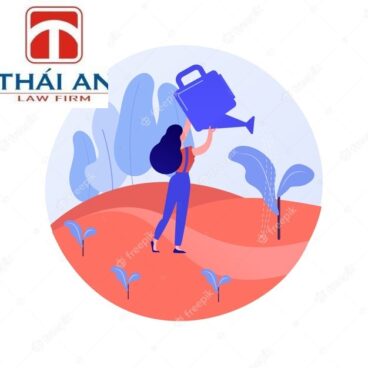 Mức ưu đãi đầu tư đối với ngành nghề trồng rừng, bảo vệ rừng | Luật Thái An™ 2 ưu đãi với nghề trồng rừng