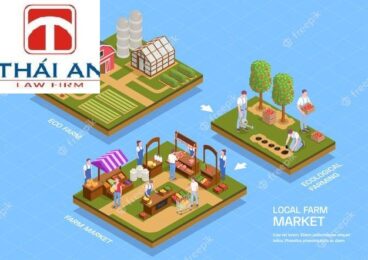 A - Z về thành lập công ty xuất khẩu nông sản có vốn nước ngoài 2 Công ty xuất khẩu nông sản