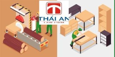A – Z về thành lập hợp tác xã sản xuất sản phẩm từ gỗ 2 hợp tác xã sản xuất sản phẩm từ gỗ