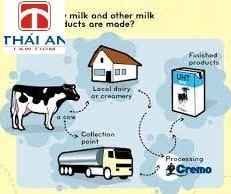 A – Z về thành lập công ty chế biến sữa và các sản phẩm từ sữa có vốn nước ngoài 2 chế biến sữa