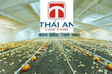 thành lập công ty chăn nuôi