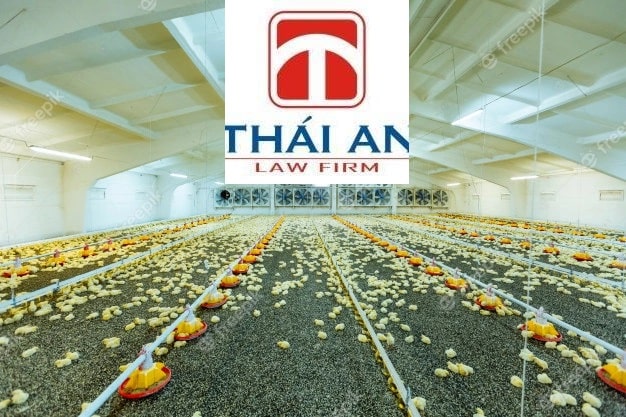A - Z về thành lập công ty chăn nuôi 19 thành lập công ty chăn nuôi