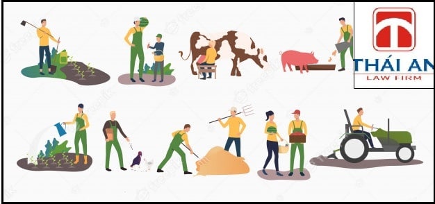 Thành viên của Hợp tác xã: điều kiện, quyền lợi và nghĩa vụ