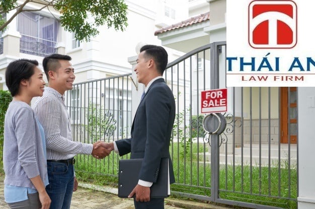 Công Ty Luật Thái An™