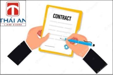 Mẫu hợp đồng ủy thác đầu tư 2 Luật Thái An cung cấp mẫu hợp đồng ủy thác đầu tư chi tiết nhất