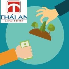 quy định mua bán đất