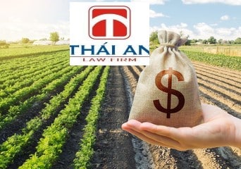 Những quy định cần biết khi mua bán nhà 2 mua bán đất