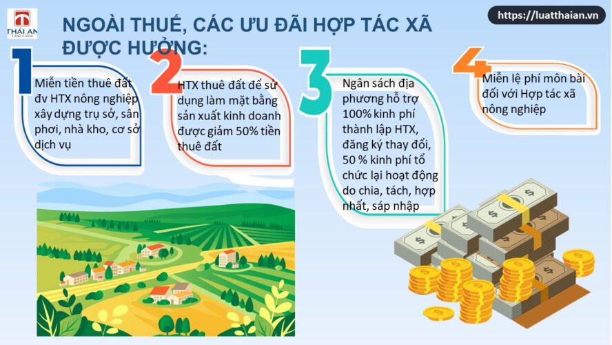 Các ưu đãi đối với hợp tác xã 6 uu dai doi voi hop tac xa