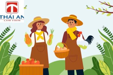 Thành lập Hợp tác xã có lợi gì là một vấn đề được nhiều người quan tâm