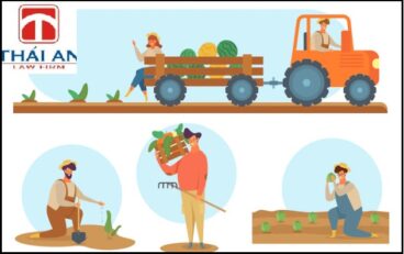 Thành lập Hợp tác xã có lợi gì? theo quan điểm của Công ty Luật Thái An