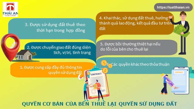 hop dong cho thue lai quyen su dung dat