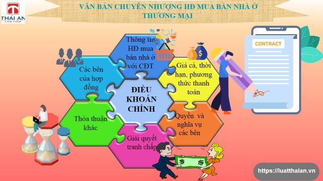chuyen nhuong hop dong mua ban nha o thuong mai1