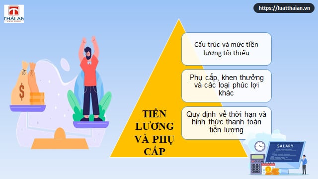 Pháp luật lao động: Những nội dung cơ bản nhất! 5 Bộ luật lao động