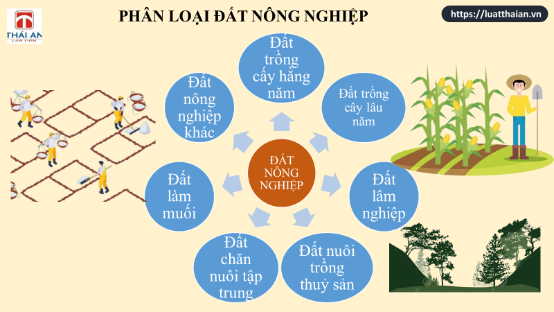 Đất nông nghiệp: Các quy định mới nhất! 2 Đất nông nghiệp