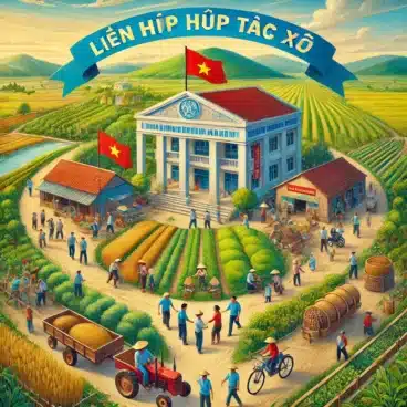 Liên hiệp hợp tác xã và những quy định quan trọng cần biết 5 liên hiệp hợp tác xã