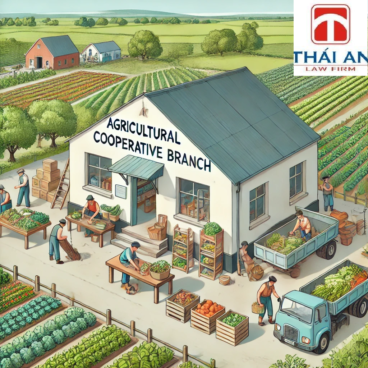 chi nhánh của hợp tác xã 