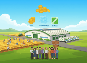 Tài sản của hợp tác xã được hình thành từ nhiều nguồn 3 tài sản của hợp tác xã